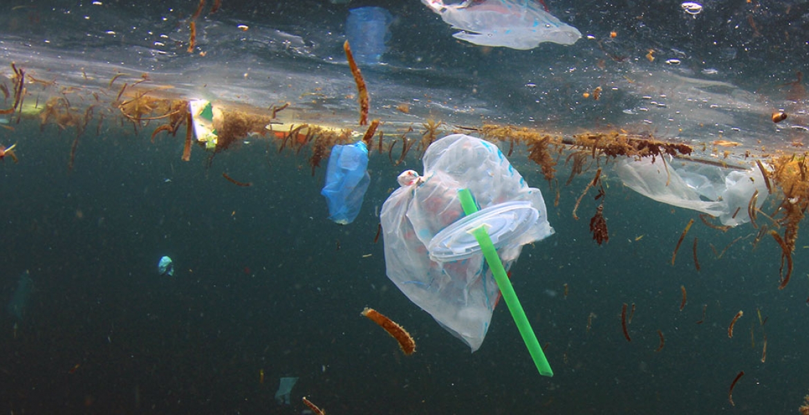Het verbod op plastic: een duurzamere toekomst sinds 3 Juli 2021